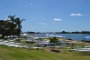 rowing-regatta-2014 001